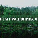 xr:d:DAFuslNGC74:2,j:4769715191367766224,t:23091710