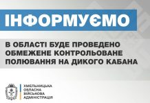 В Хмельницькій області протягом січня буде проведено обмежене контрольоване полювання на дикого кабана