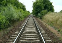 Попередження про недопущення самовільних рубок у захисних лісонасадженнях залізниці