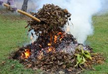 Пам’ятка про заборону паління сухої трави