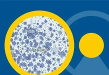 Де шукати інформацію про КТ та МРТ? НСЗУ запустила новий дашборд із даними ЕСОЗ