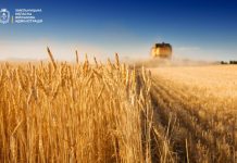 Аграрії Хмельниччини завершили збирання ранніх культур